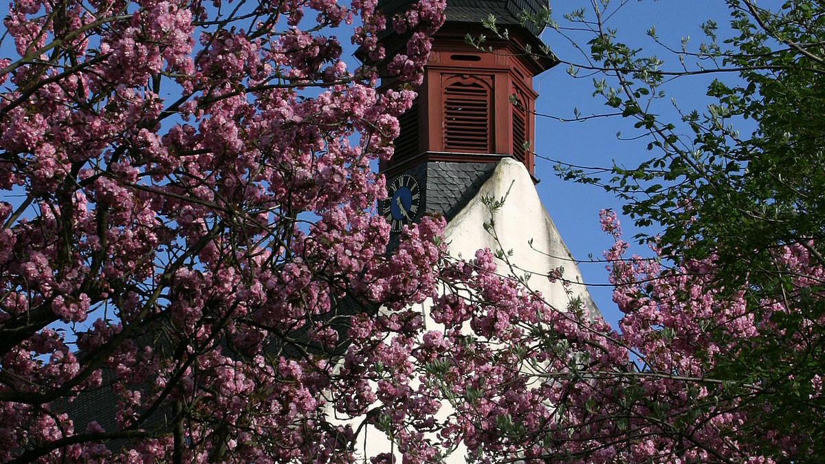 Bilder aus dem Kirchort St. Michael, Stephanshausen