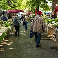 Musik zur Marktzeit