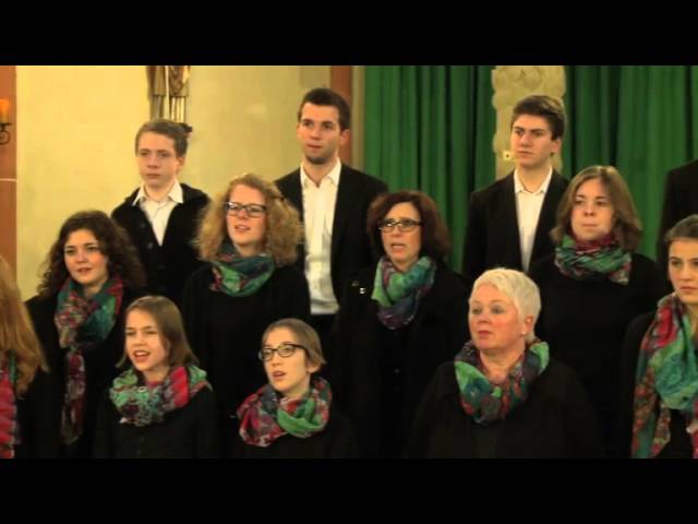 Gotteslobvideo (GL 224): Maria durch ein Dornwald ging