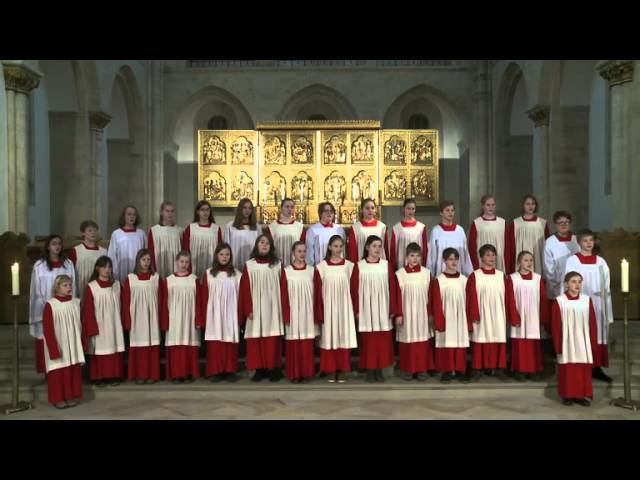 Gotteslobvideo (GL 499): Gott, der nach seinem Bilde