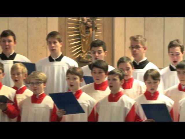 Gotteslobvideo (GL 348): Nun bitten wir den Heiligen Geist