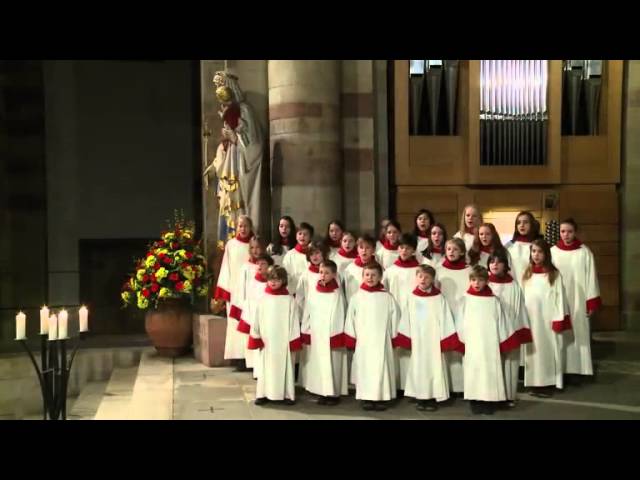 Gotteslobvideo (GL 533): Lasst uns erfreuen herzlich sehr, Halleluja